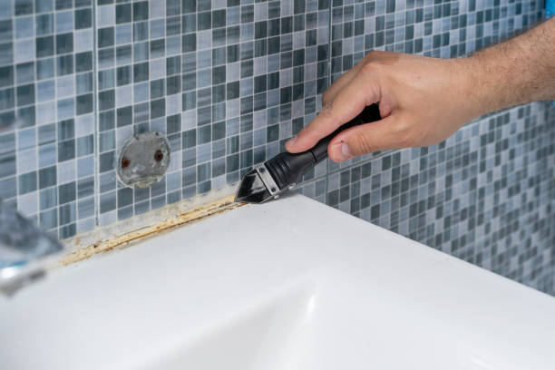 Reliable Voorheesville, NY Mold Removal Solutions